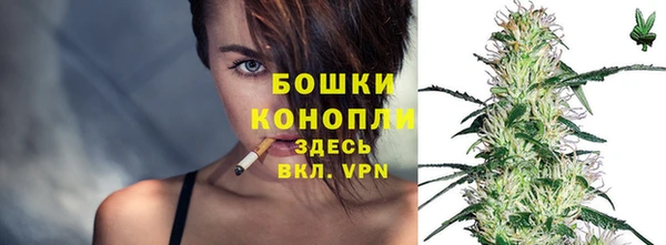 альфа пвп Бородино
