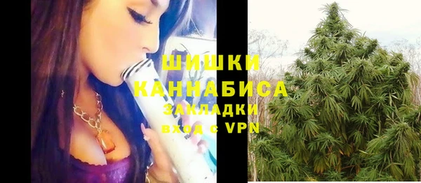 МДПВ Бронницы