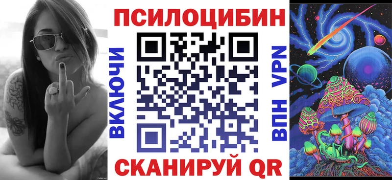 где можно купить наркотик  Кингисепп  Галлюциногенные грибы Psilocybe 