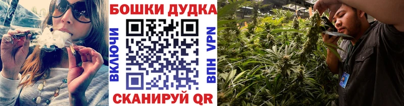 как найти   Кингисепп  KRAKEN вход  Шишки марихуана Amnesia 
